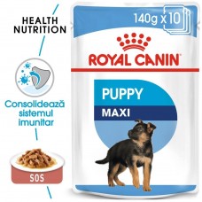 Royal Canin MAXI PUPPY 140 g