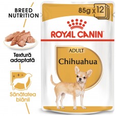 Royal Canin CHIHUAHUA ADULT 85 g