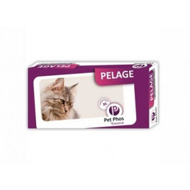 Pet Phos Feline Pelage 36 tb